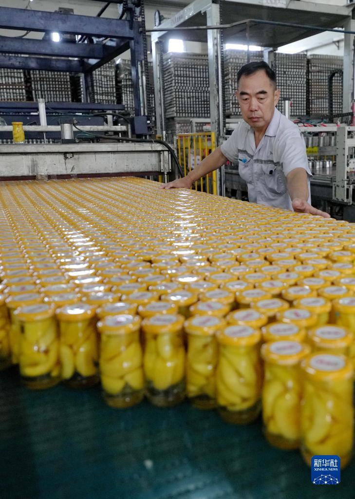 澳门新葡游戏网